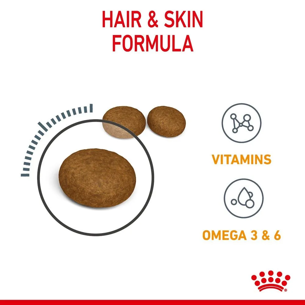 Royal Canin Hair & Skin Care Adult Dry Cat Food 2kg